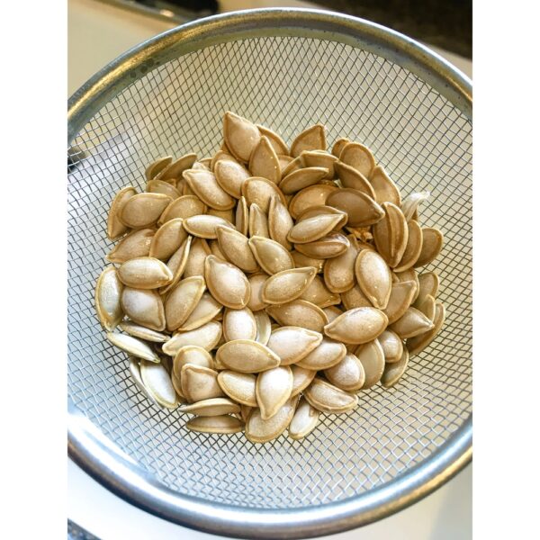 Acorn Squash Seeds
