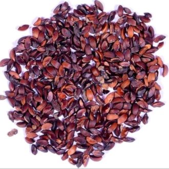 Amla (Indian Gooseberry) Seeds