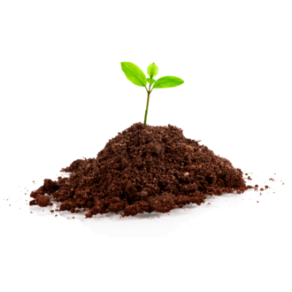 Bat Guano Organic Fertilizer