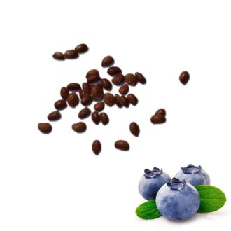 Blueberry Seeds