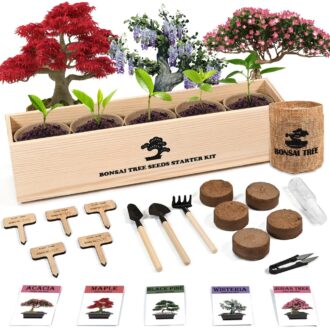Bonsai Training Kit