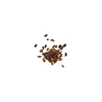 Bougainvillea Cutiings-Seeds