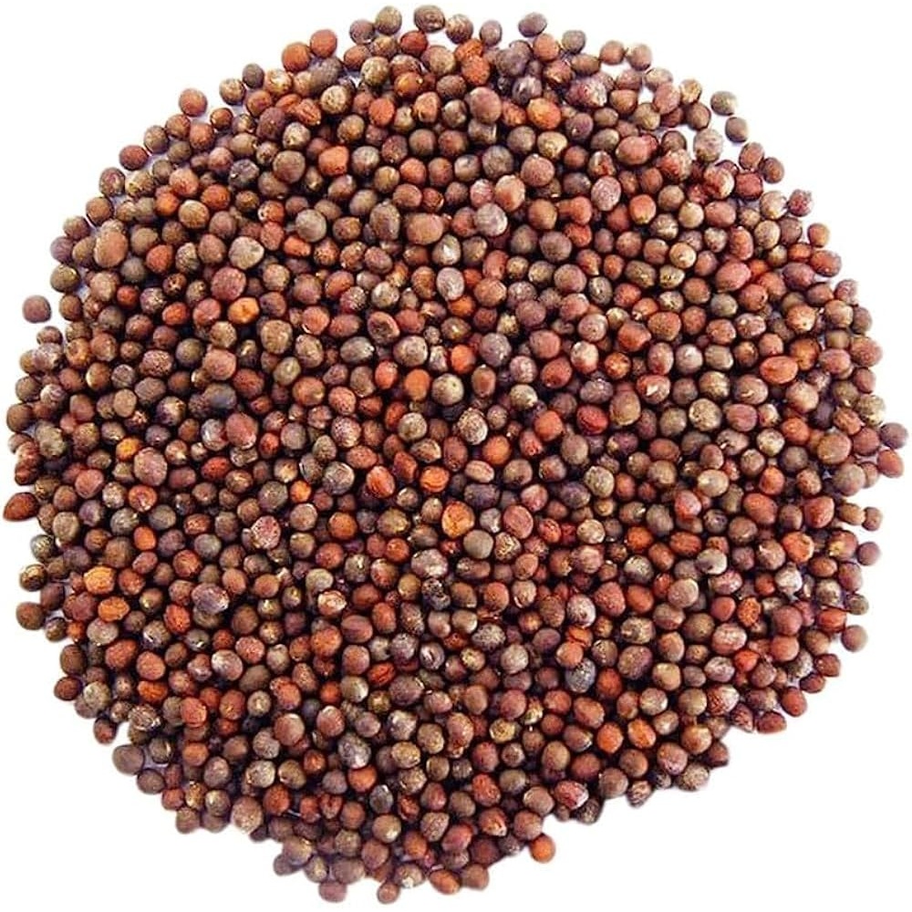 Broccoli Seeds