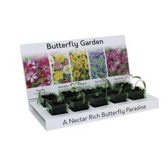 Butterfly Garden Flower Kit