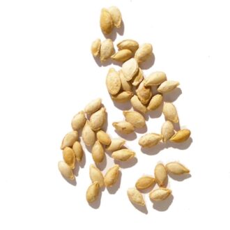 Butternut Squash Seeds