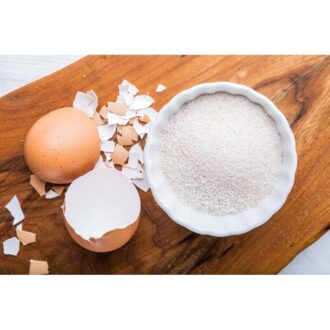 Calcium Rich Shell Powder
