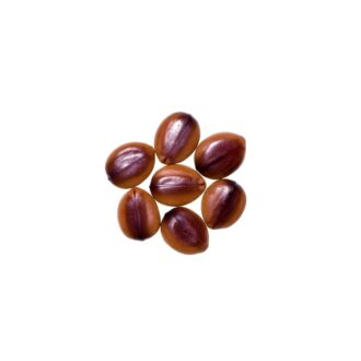 Cassia Fistula Seeds