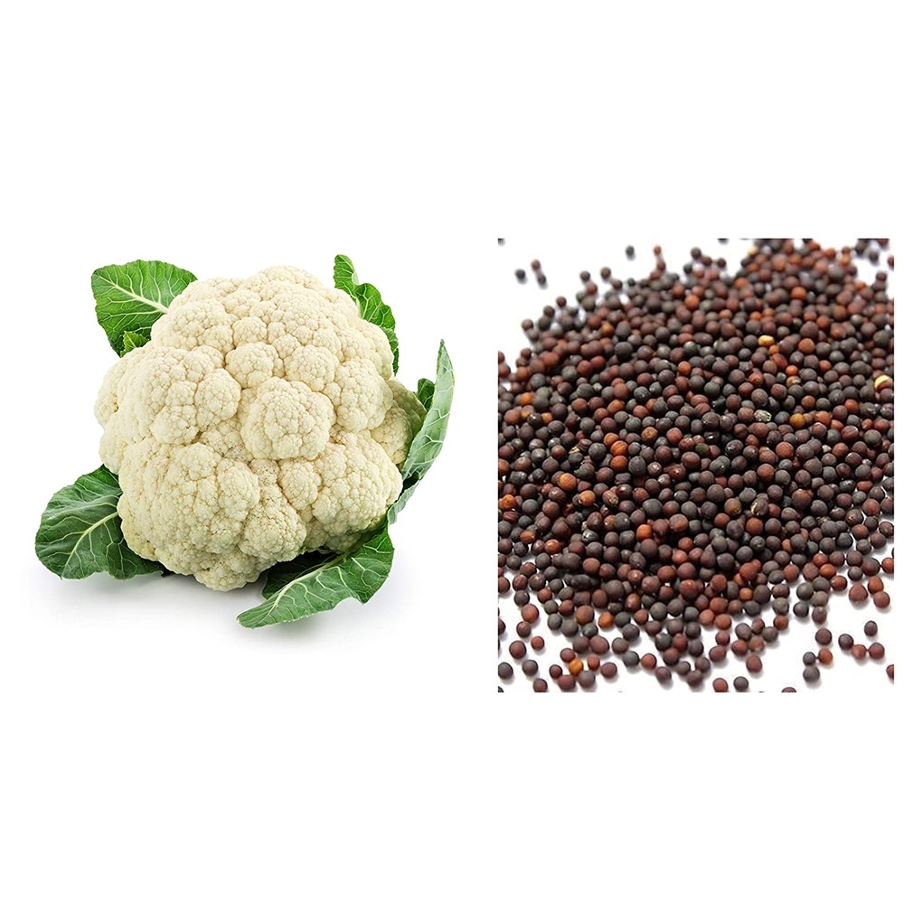 Cauliflower Seeds