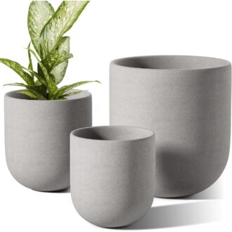 Ceramic Planter