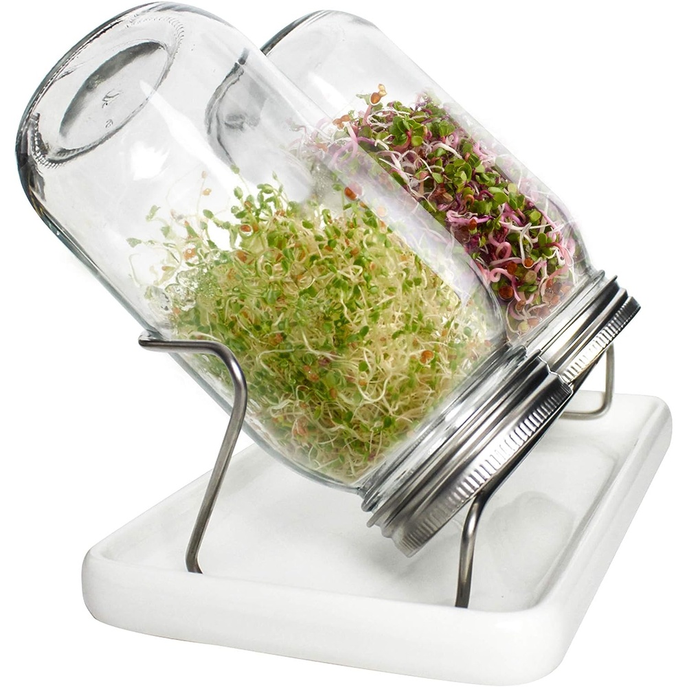 Chefβs Garnish Microgreens Kit