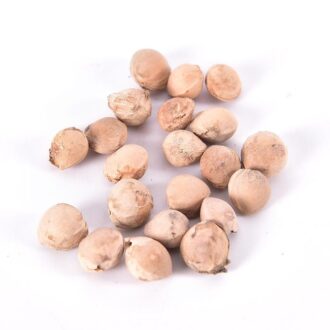 Cherry Seeds