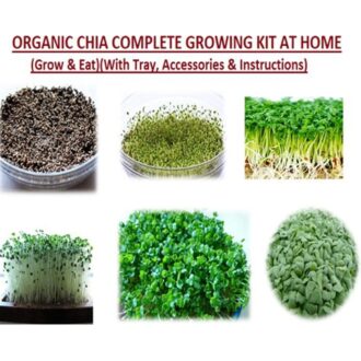 Chia Seeds Grow Kit