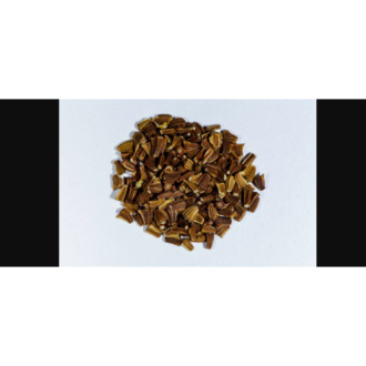 Chrysanthemum Seeds