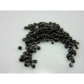 Cockscomb (Celosia) Seeds