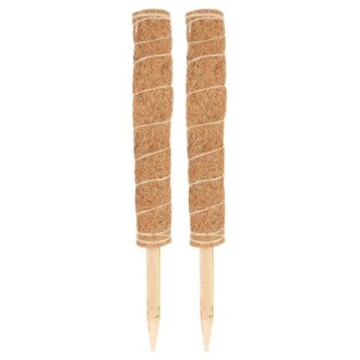 Coir Pole (3 Feet)