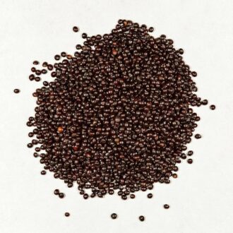 Coleus Seeds