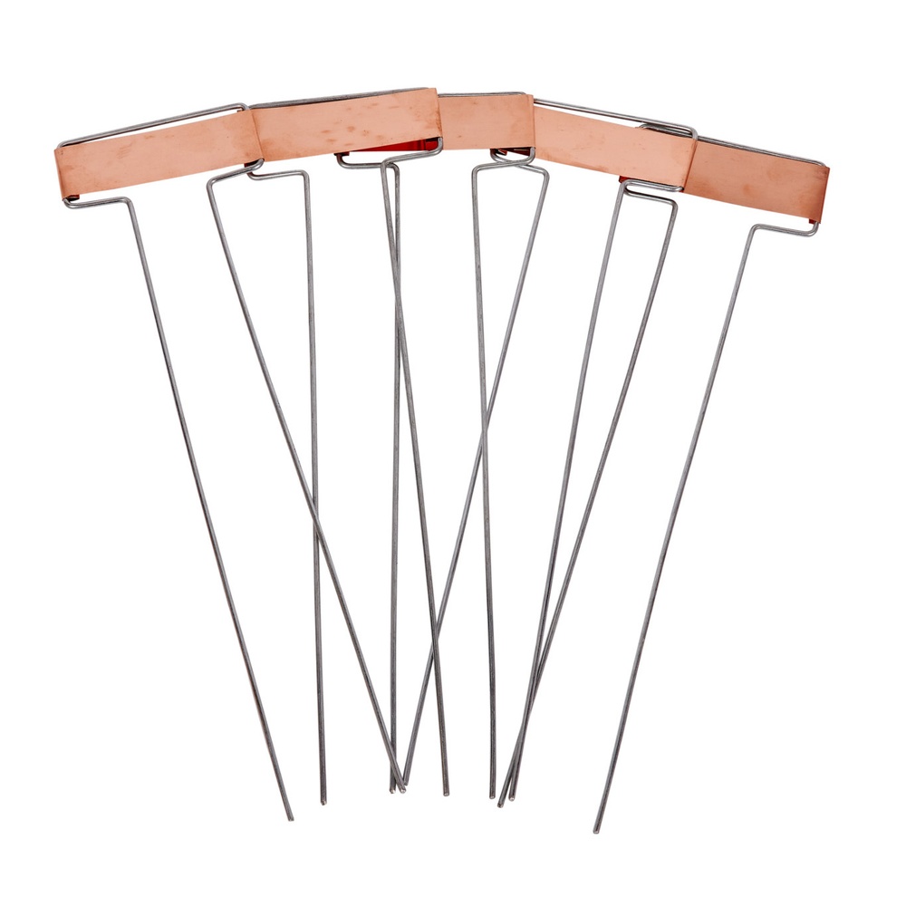 Copper Plant Labels