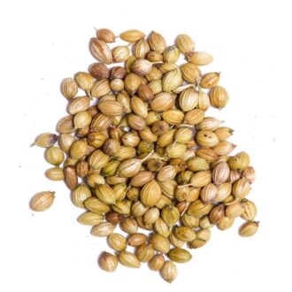 Coriander Herb Seeds
