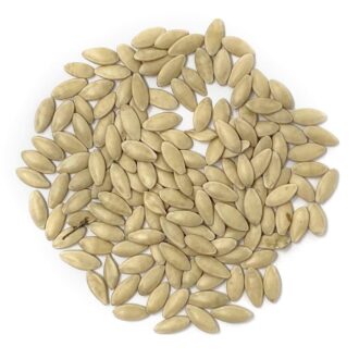 Cucumber Seeds