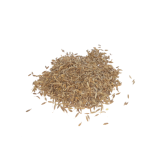 Cumin Seeds