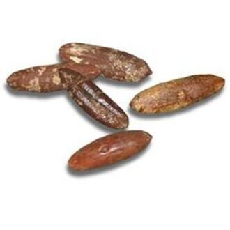 Date Palm Seeds