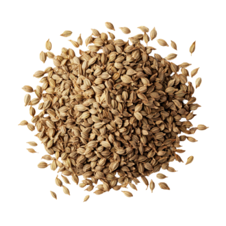 Dill Seeds