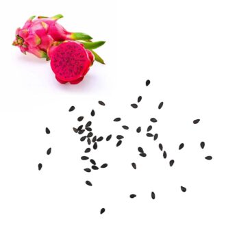 Dragon Fruit Seeds
