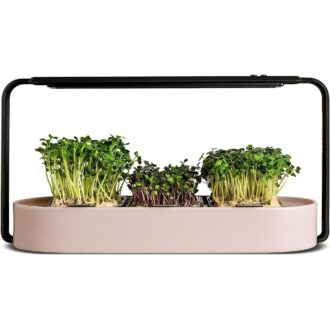Exotic Microgreens Pro Kit