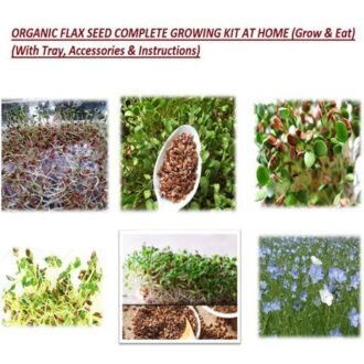 Flax Seeds Grow Kit