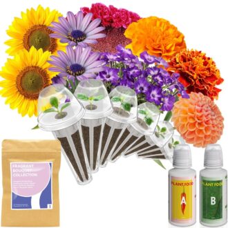 Fragrant Flower Garden Kit