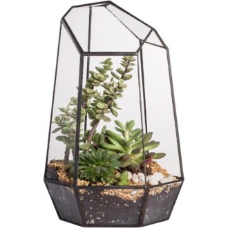 Geometric Glass Terrarium