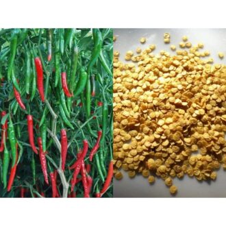 Green Chili Seeds
