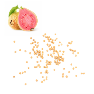 Guava Seeds