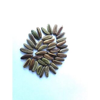 Gulmohar Seeds