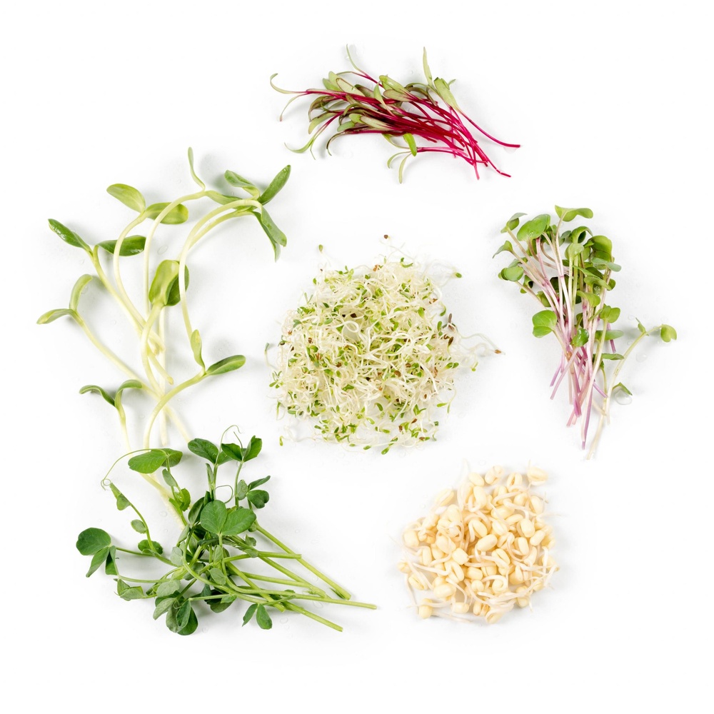 Healthy Mix Microgreens