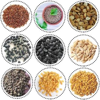 Hybrid Mix Veg Seed