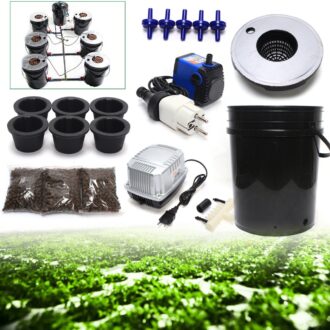 Hydroponic DWC Starter Kit
