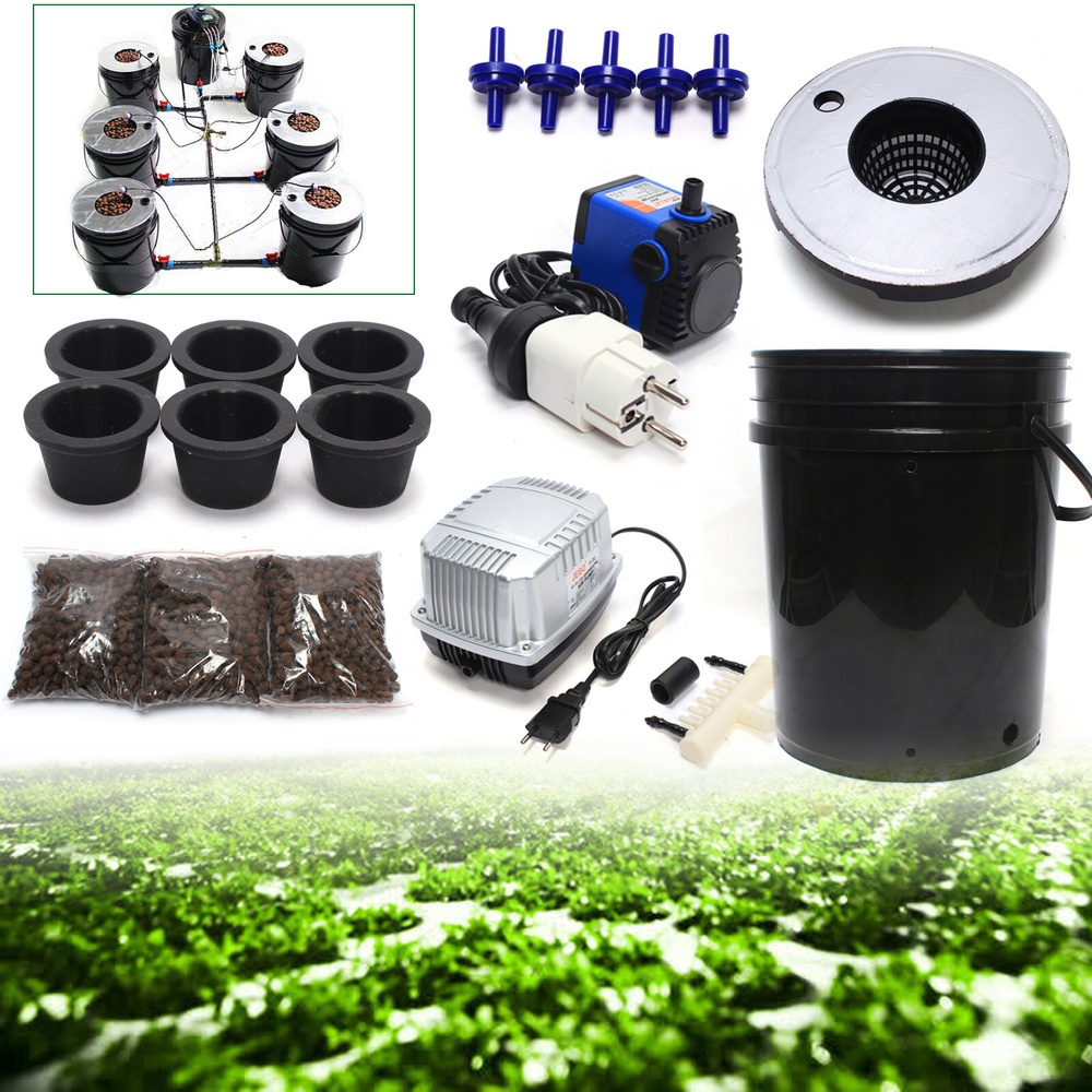 Hydroponic DWC Starter Kit
