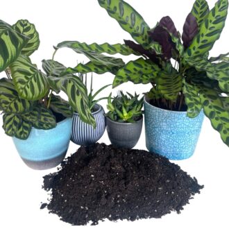 Indoor Plant Potting Mix