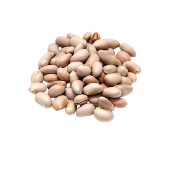 Jackfruit Seeds