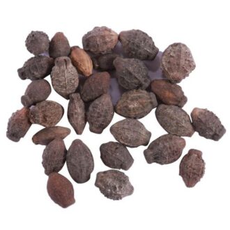 Jasmine Seeds
