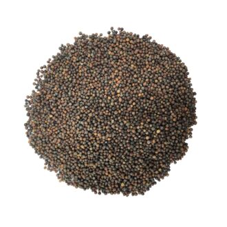 Kale Seeds