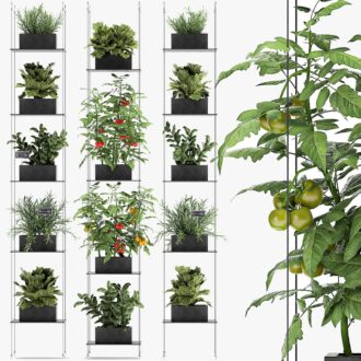 Kitchen Garden Complete Set