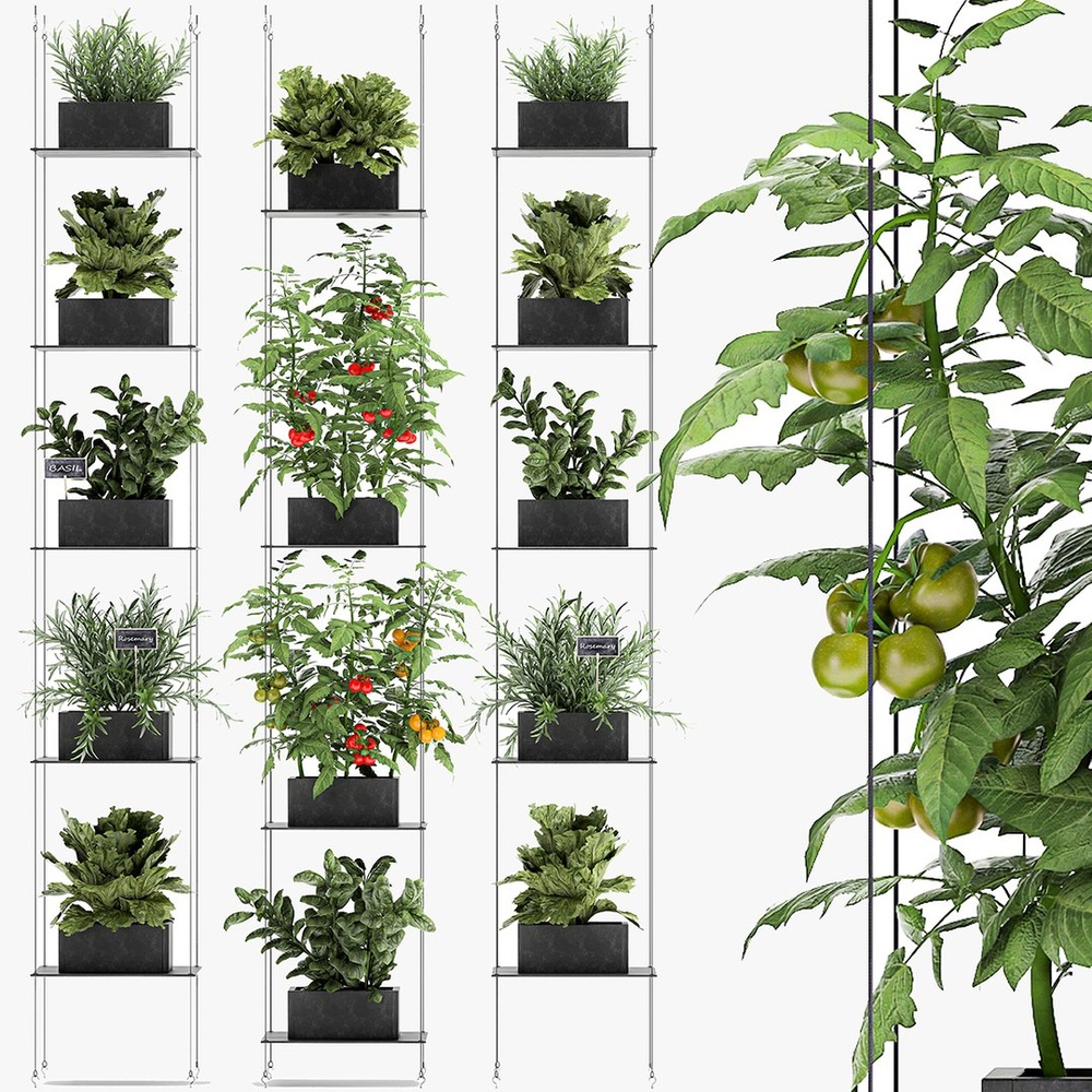 Kitchen Garden Complete Set