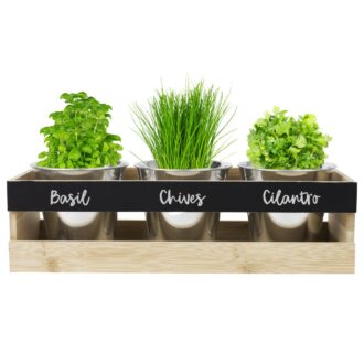 Kitchen Herb Kit