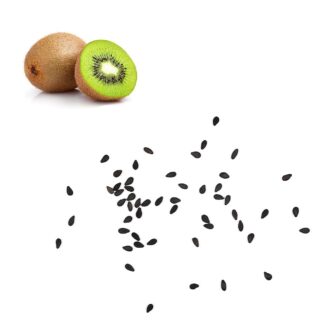 Kiwi Seeds