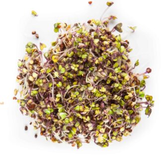Kohlrabi Seeds