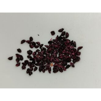 Leek Seeds