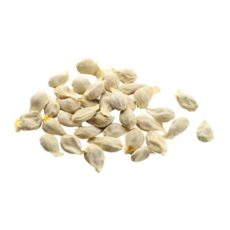 Lemon Seeds