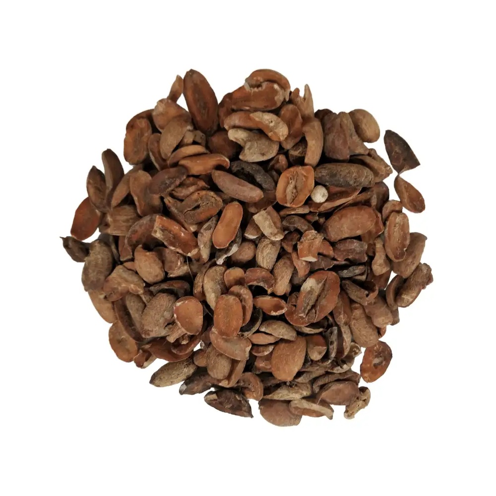 Mahua Tree Seeds